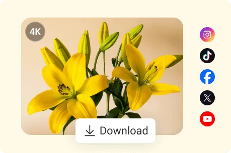 Download your enhanced HD images and share them on popular social media