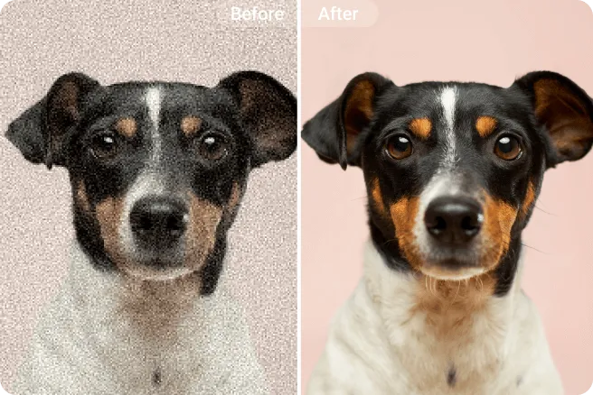 remove grain from a dog photo